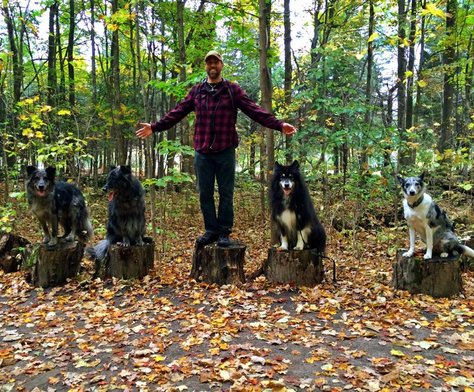 education-canine-chien-dresseur-dogtao